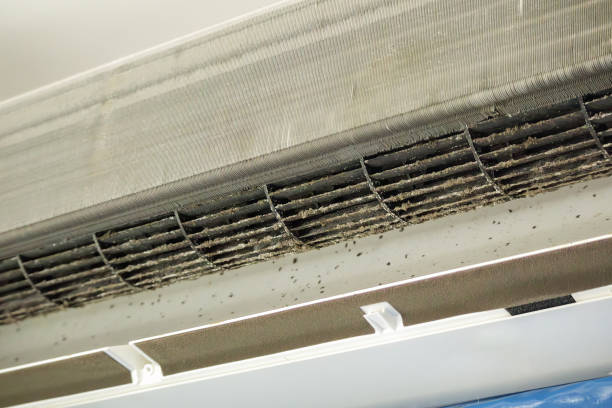 Best Best Air Duct Cleaning Company  in Oriole Beach, FL